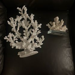 Coral Decorations
