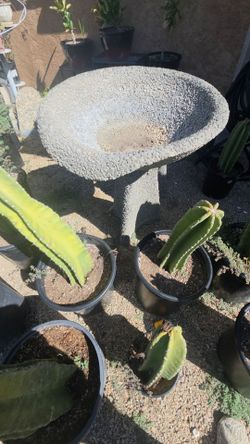 Bird bath Fontaine