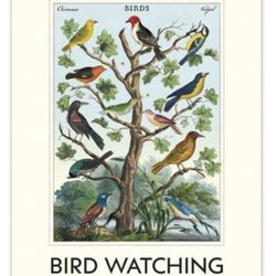 Bird Watching 2026 Calendar