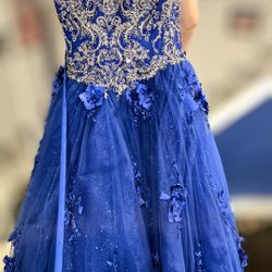 Quinceañera/ Sweet 16 Dress