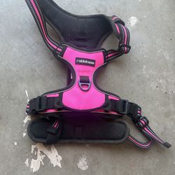 XL Dog Harness And Leash