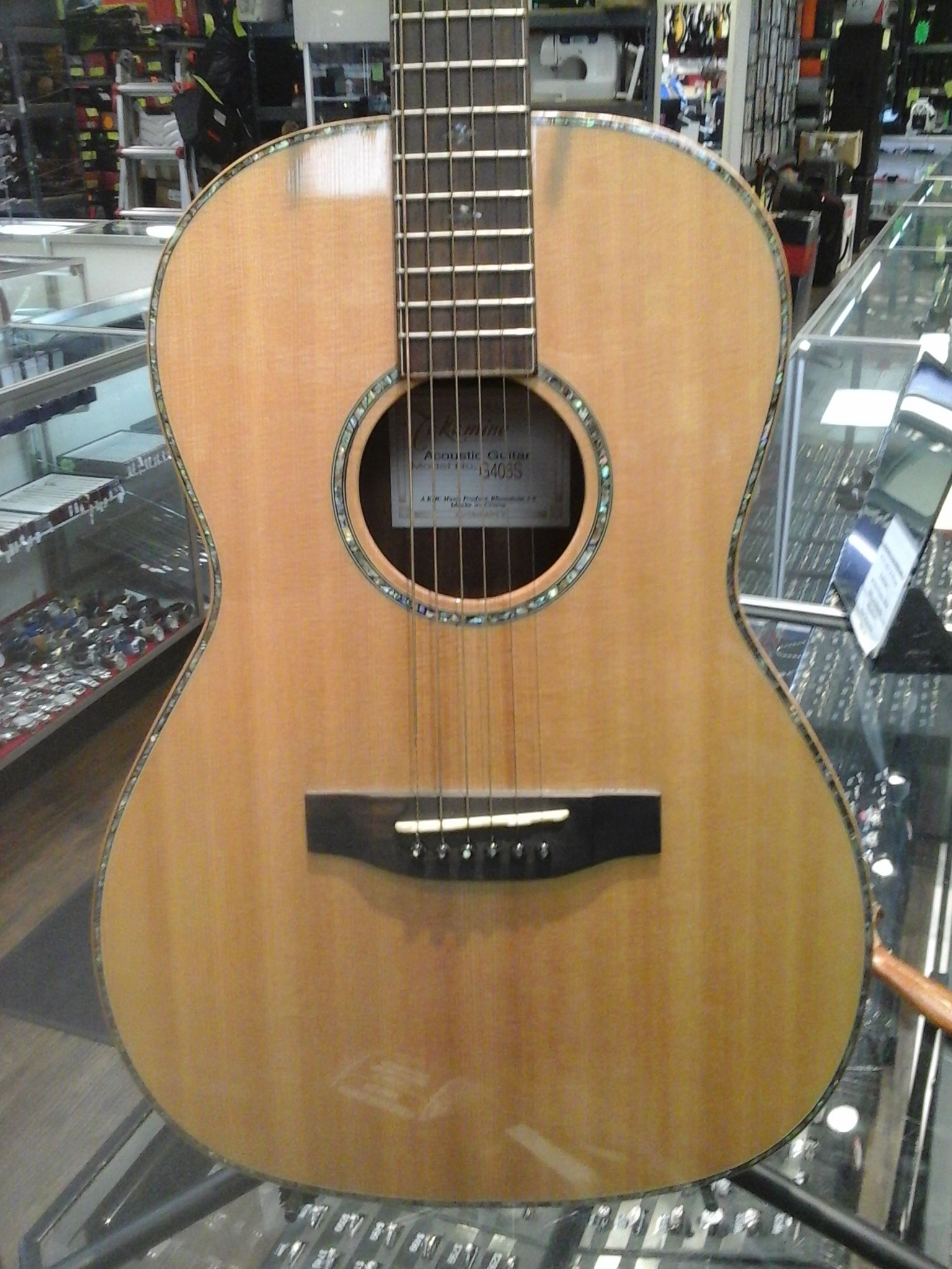 Takamine Guitar