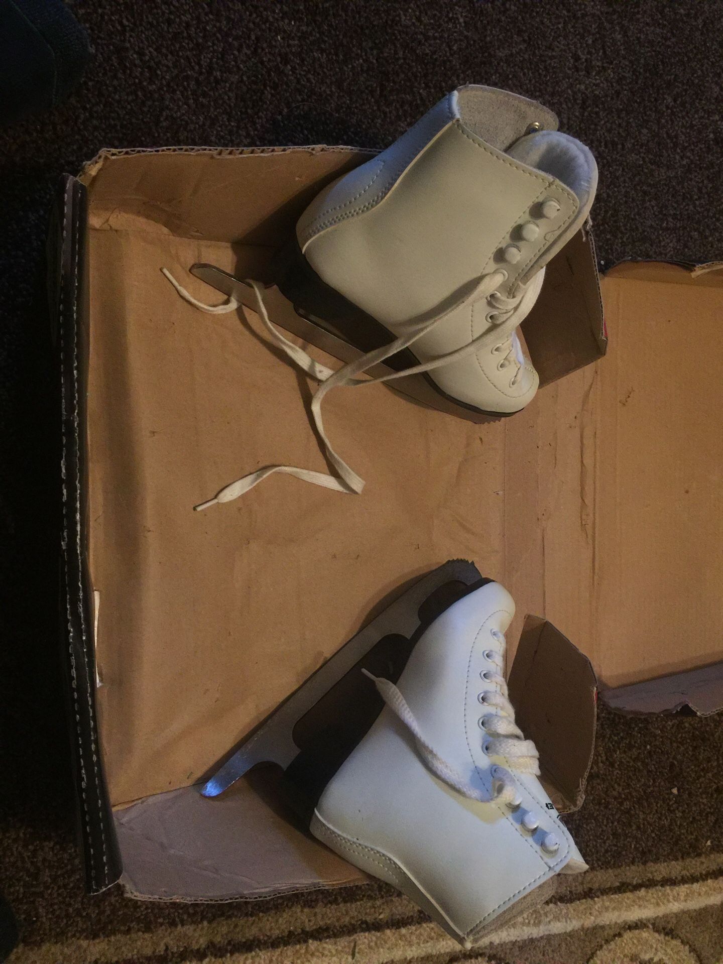 Figure skate