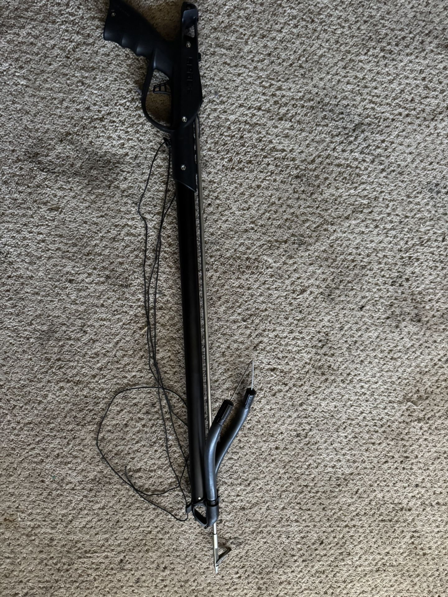 Spear Fish Never Used