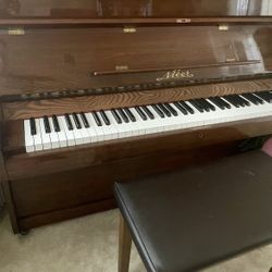 Beginner Nier Upright Piano