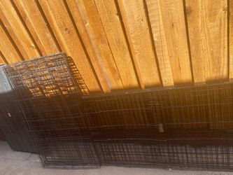 Large Dog Crates