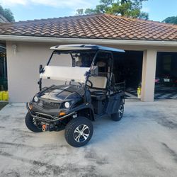Brand New Golf Cart Gasoline
