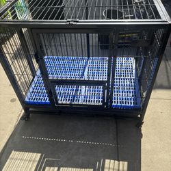 Dog Cage 