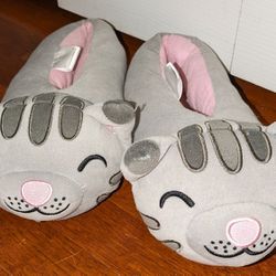 Soft Kitty Slippers  (The big Bang Theory)