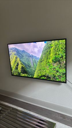 51 inch with mount