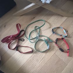 DOG LEASHES  Or COLLARS $ 10 Each