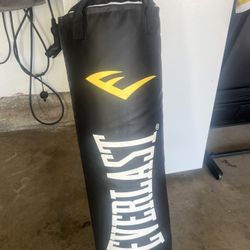 Everlast Heavy Boxing Bag