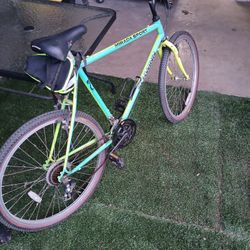 Schwinn Mirada Sport Bike 