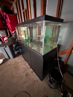 Fish tank 75 gallon
