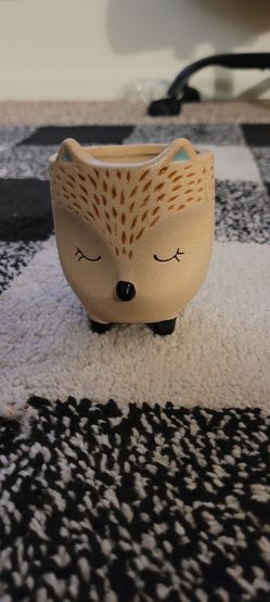 Desktop Hedgehog Pot With No Hole