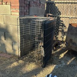 Dog Kennel 