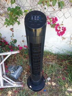 Black fan with control