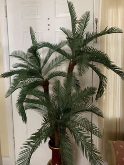 60”x 35” Green Faux Palm Tree