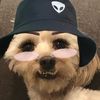 zer
