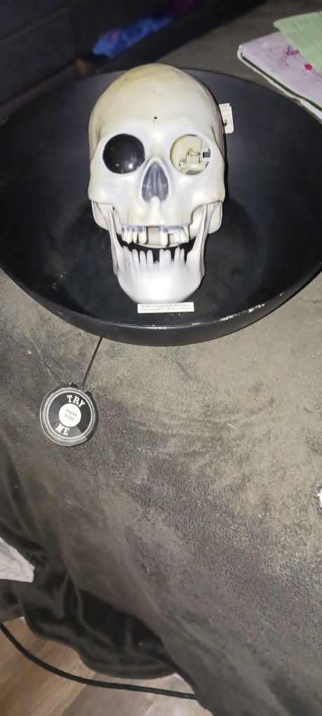 Talking Skull Candy Bowl Halloween