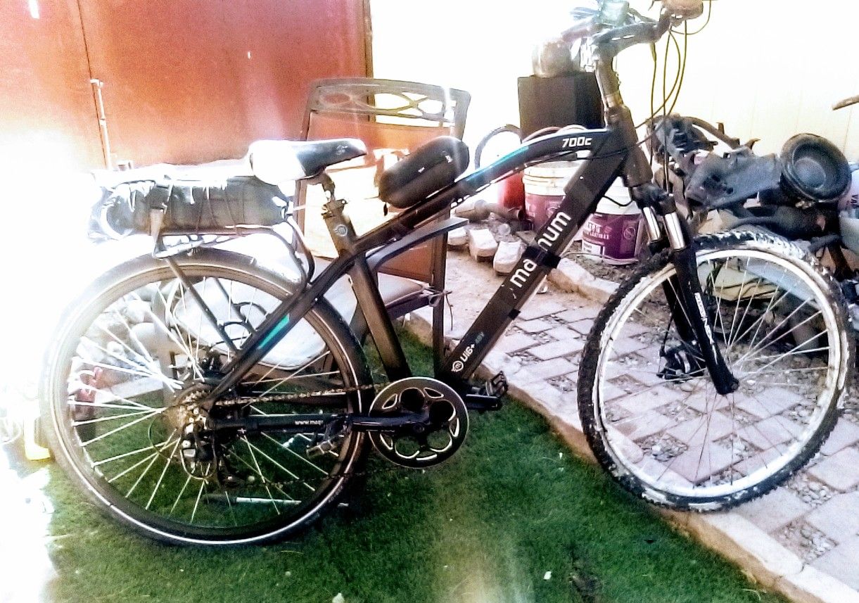 Electric Bike/ Bicycle