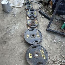 Golds Gym Weight Plate Set