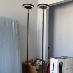 Standing Tall Lamps
