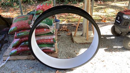 Cat Wheel