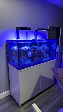 Red Sea Reef Aquarium with Stand and Lighting