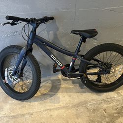 REI Kids 20” Mountain bike 