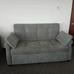 2 Queen Convertible Couches