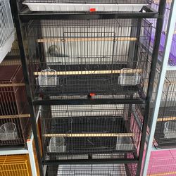 Bird Cage