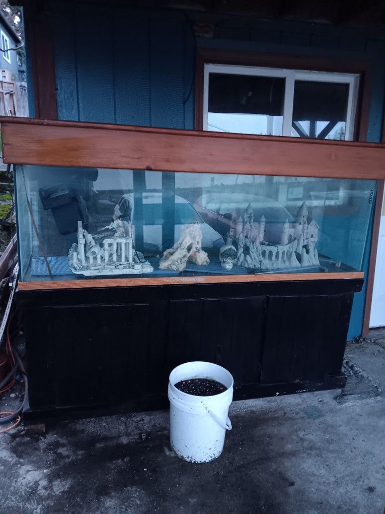 125 Gal,oak Stand And Hood With Under Gravil Filter And Bio-wheel ,castle,5gal New Black Rock.