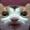 Topher
