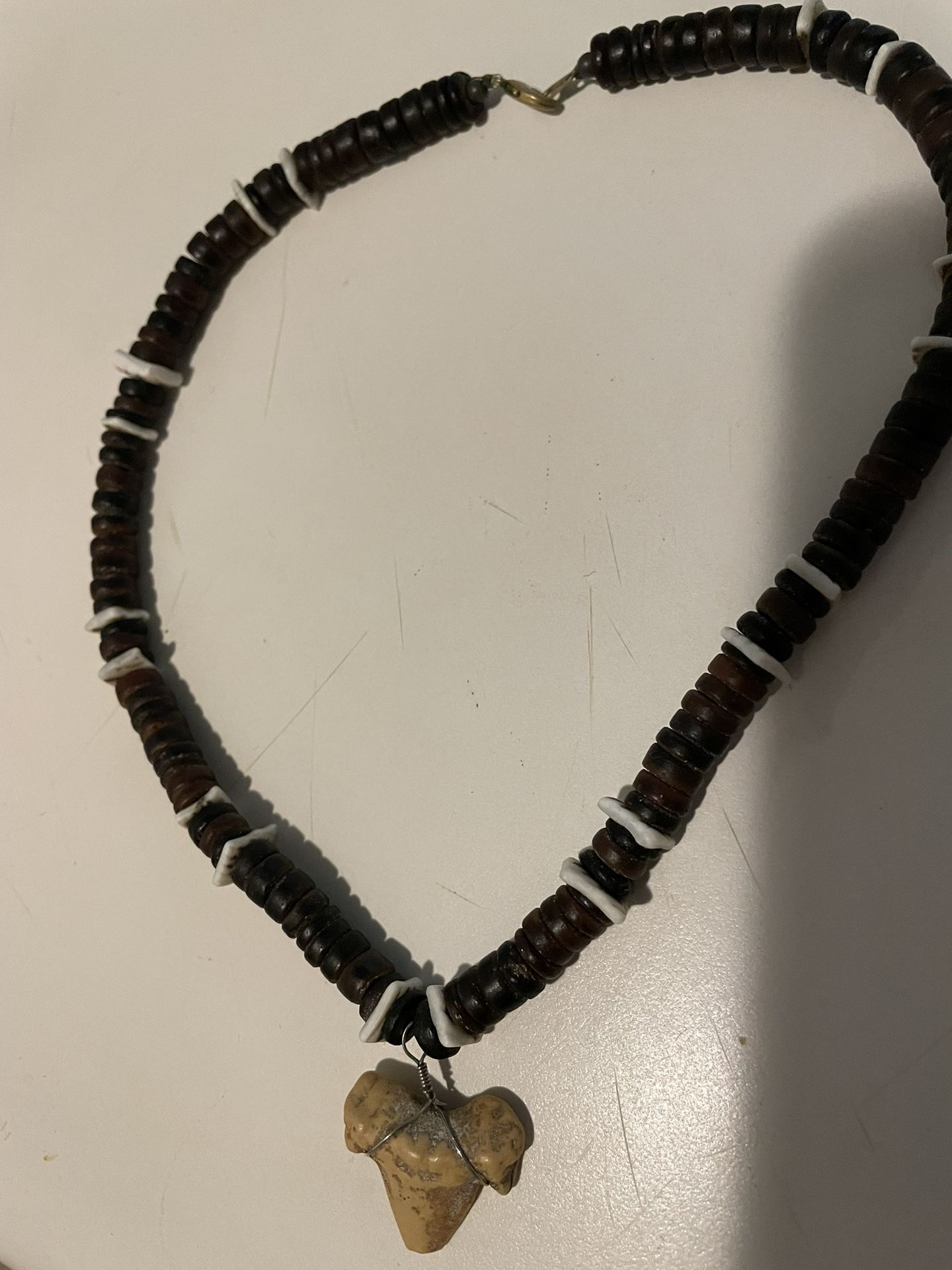 Shark Tooth Necklace
