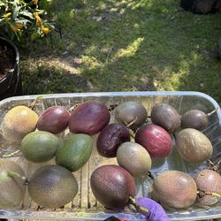 Free Passion Fruit Clippings