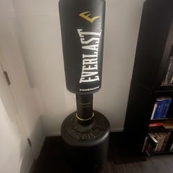 Everlast Powercore Punching Bag