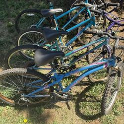 Ladies Mt. Bikes For Sale 