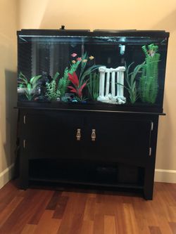 Beautiful aquarium with black cabinet , gloving fishes and lot extras