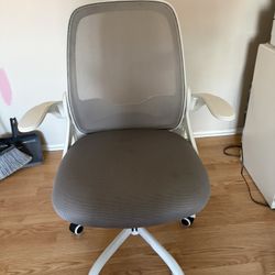Gray White Desk Chair