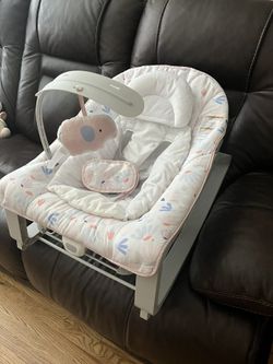 Baby Bouncer