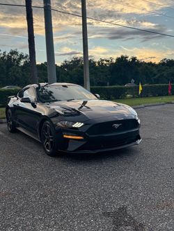 2021 Ford Mustang
