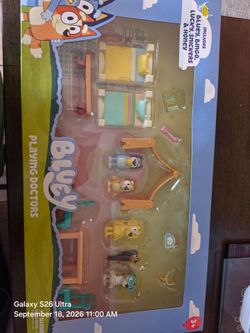 Bluey set