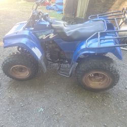 Kawasaki  Bayou 250