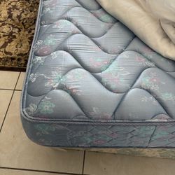 Twin Mattress And Box Spring 
