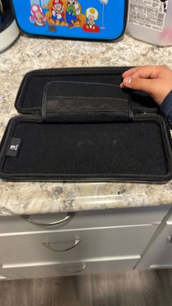 Nintendo Case