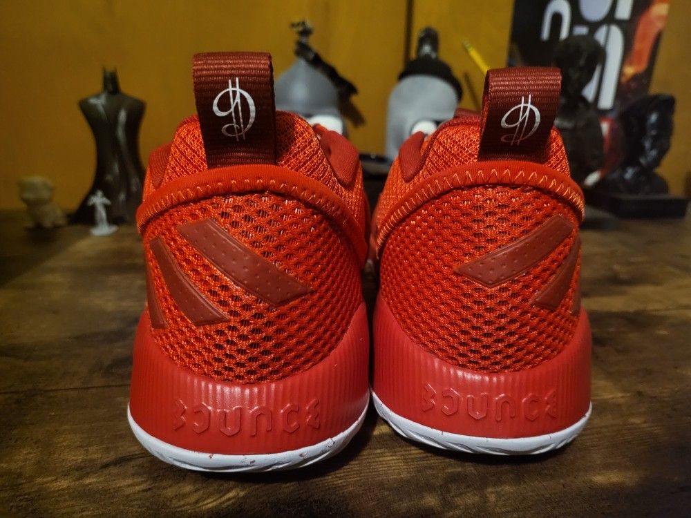 Brand New Dame Certified Shoes