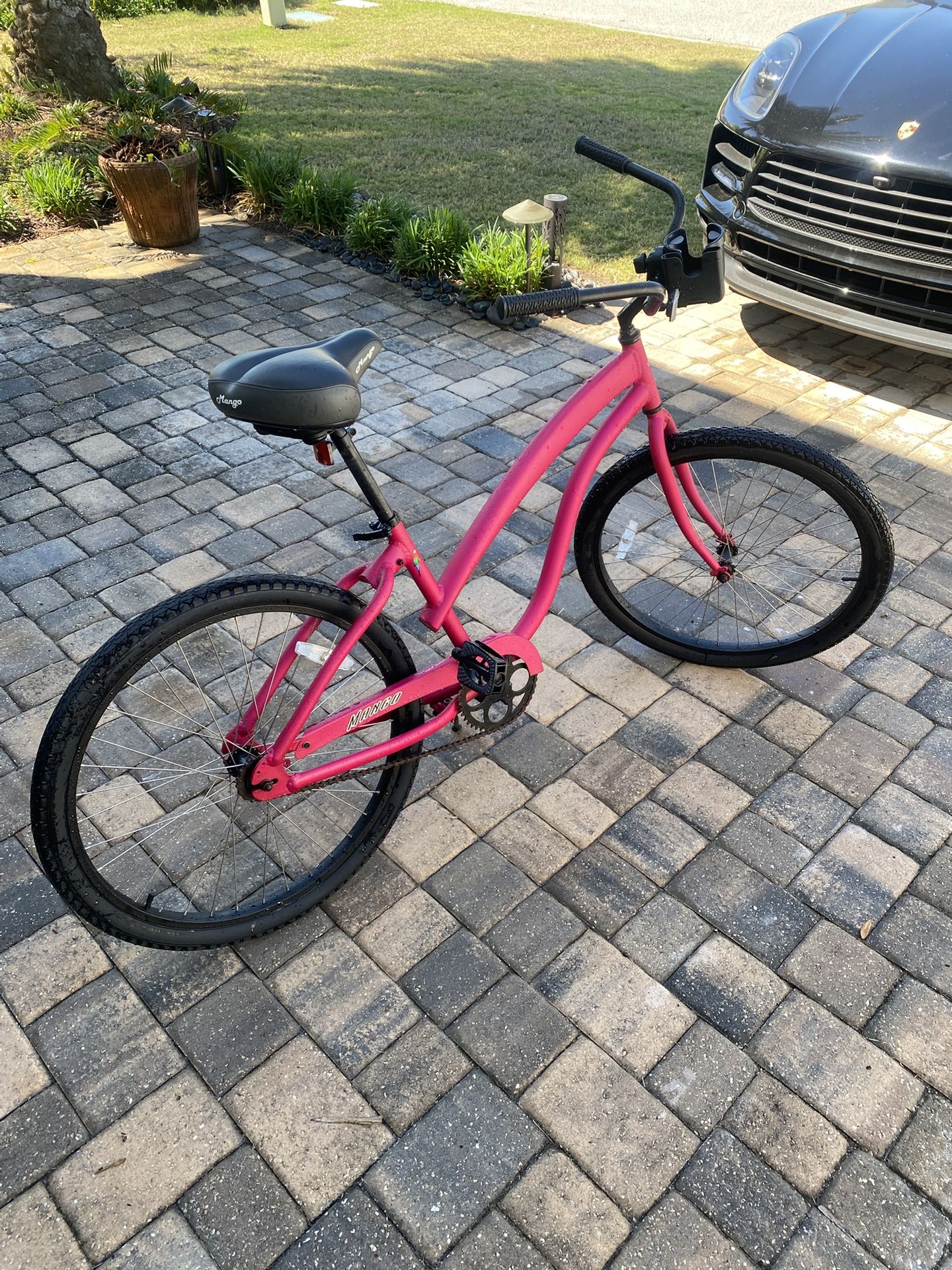Mango Beach cruiser