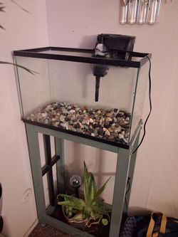 10G Tank With Stand