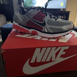 Nike Vomero (New/10.5)